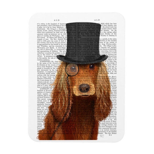 Imán Cocker Spaniel, Hound formal y Gorra (Vertical)