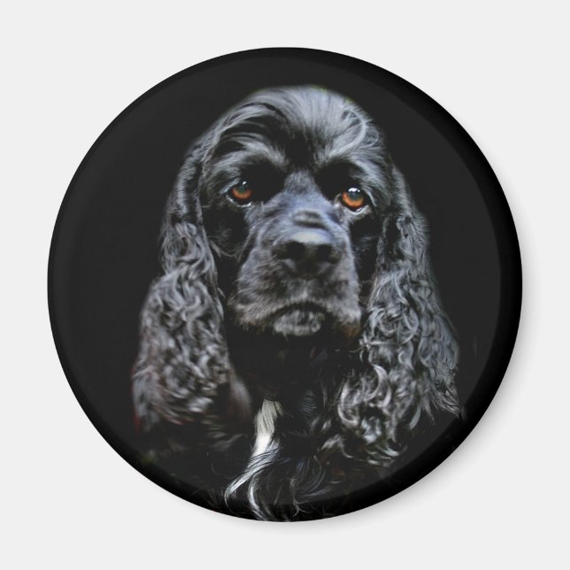 Imán Cocker Spaniel negro (Frente)