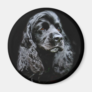 Imán Cocker spaniel negro