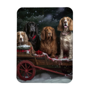 Imán Cocker Spaniel Nevado Trineo Navidad Decoración