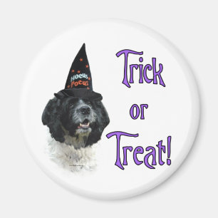 Imán Cocker Spaniel (parti) Trick