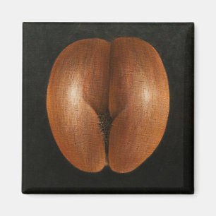 Imán Coco de Mer 2010