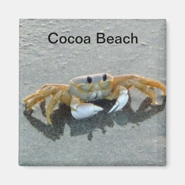 Imán Cocoa Beach Crab Photo Magnet Florida (Frente)
