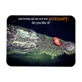 Imán Cocodrilo en el agua