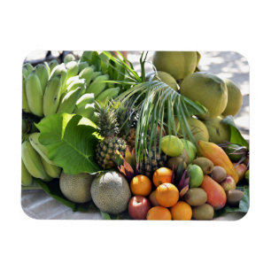 Imán Cocos, Naranjas, ligas, plátanos, papayas