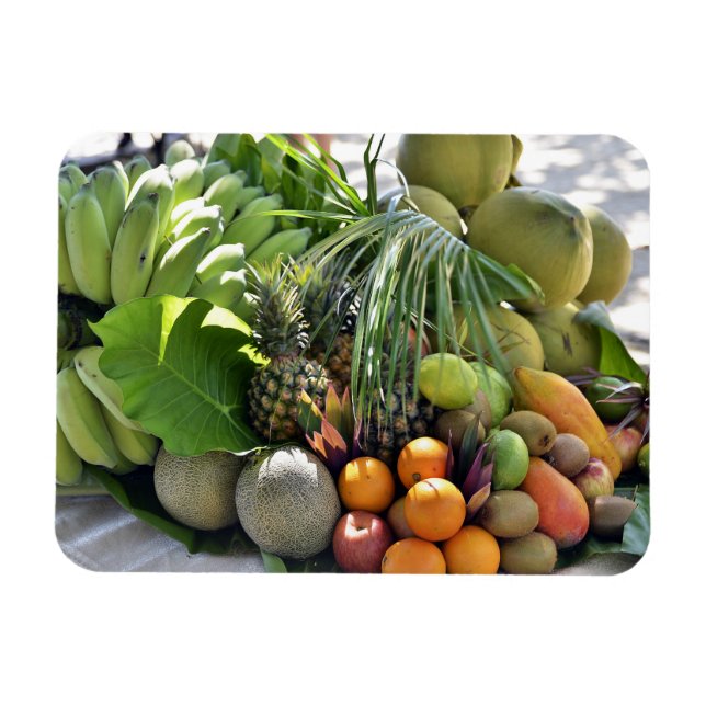 Imán Cocos, Naranjas, ligas, plátanos, papayas (Horizontal)