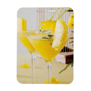 Imán Cóctel de Fresca de piña y jengibre