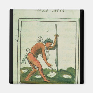 Imán Codex florentino' de Bernardino de Sahagun