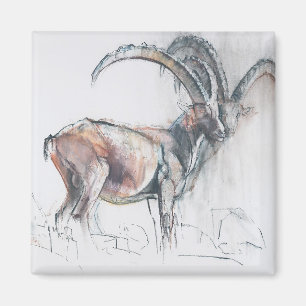 Imán Col di Vermianaz