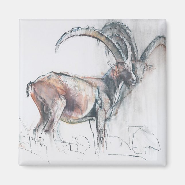 Imán Col di Vermianaz (Frente)