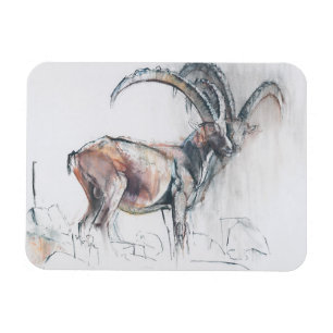 Imán Col di Vermianaz