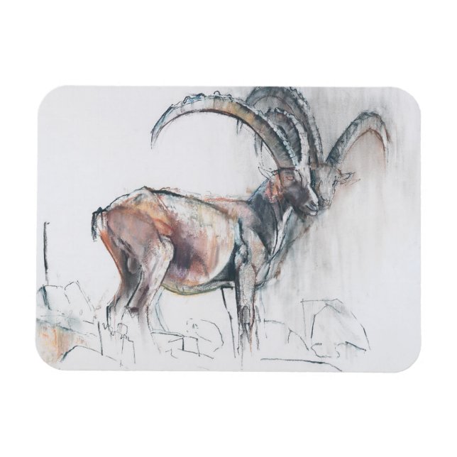 Imán Col di Vermianaz (Horizontal)