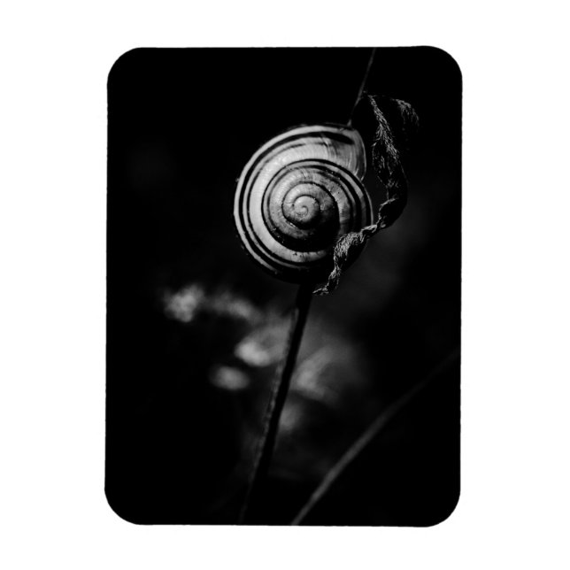 Imán cola de caracol (Vertical)