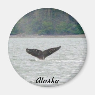 Imán Cola de la ballena de Alaska