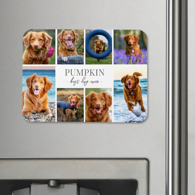 Imán Colage de Fotos de Mascotas de Perros Simpáticos (Simple Dog Pet Photo Collage jigsaw puzzle)
