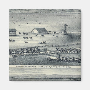 Imán Cole Ranches