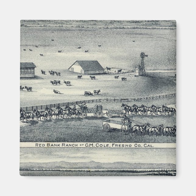 Imán Cole Ranches (Frente)