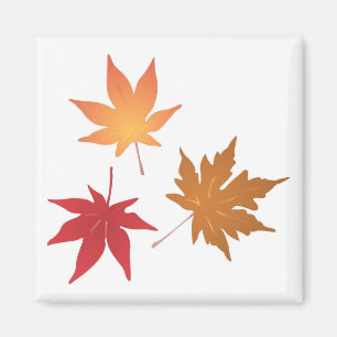 Imán Colección de hojas de arce de otoño