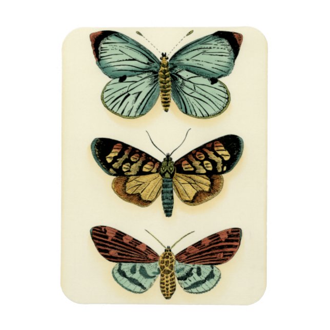 Imán Colección de mariposas por Chariklia Zarris (Vertical)