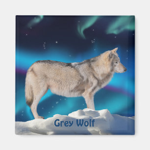Imán Colección de vida silvestre Gray Wolf & Aurora