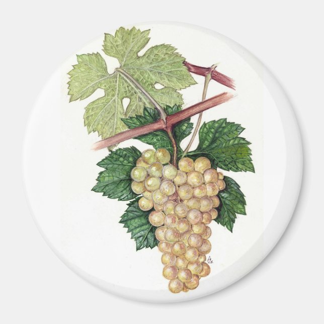 Imán Colección Dionysus & Rhea (Frente)