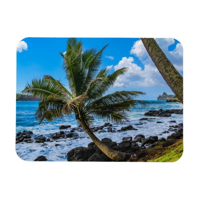 Imán Colgando... (Horizontal)