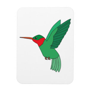 Imán Colibrí