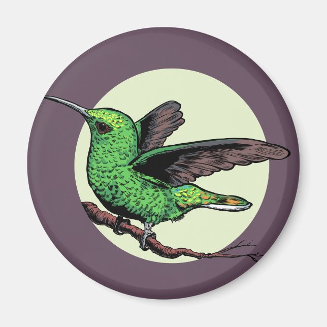 Imán Colibrí (Frente)