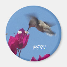 Colibrí del Perú Magnet