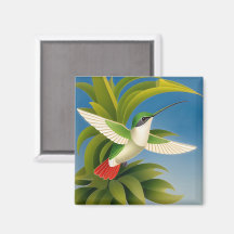 Colibrí moderno