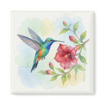 Colibrí Pequeño Acuarela