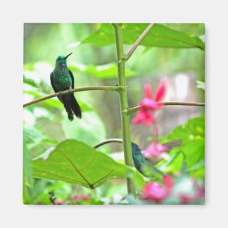 Imán Colibrí tropical y flores