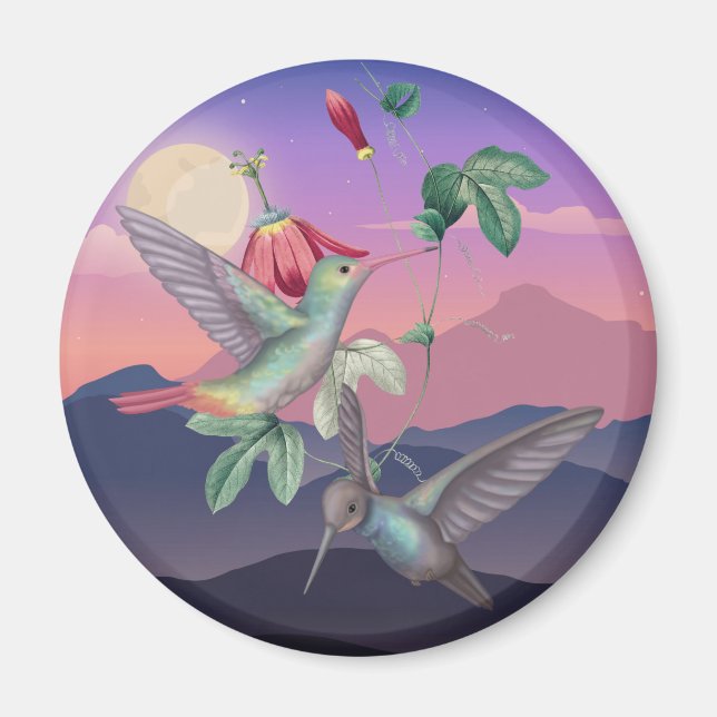 Imán Colibríes (Frente)
