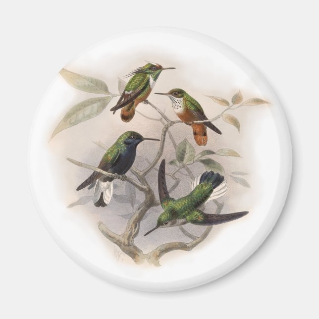 Imán Colibríes en vuelo (Frente)