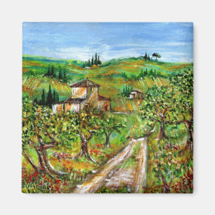 IMÁN COLINAS VERDES Y OLIVOS EN EL PAISAJE DE TOSCANA