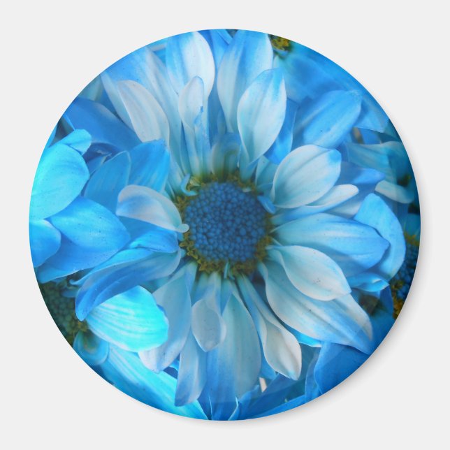 Imán Collaert (Frente)