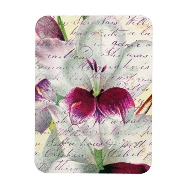 Imán collage de caligrafía de arte gladiolus (Vertical)