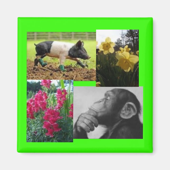 Imán Collage de fotos (Frente)