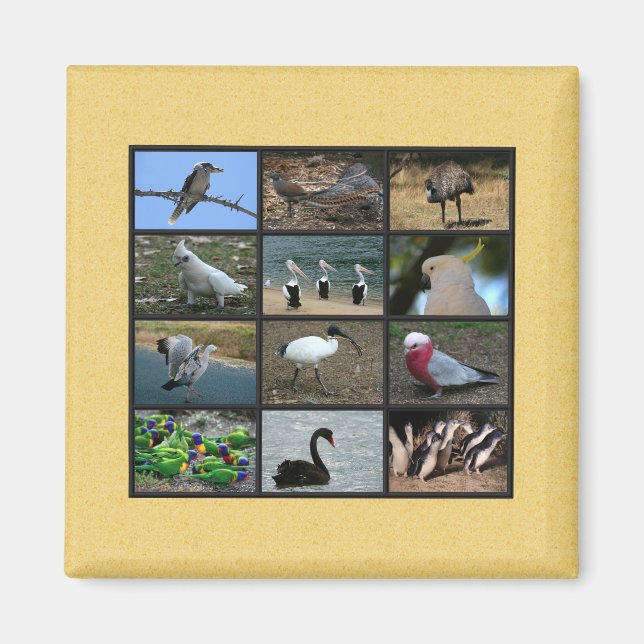 Imán Collage de fotos de aves australianas (Frente)