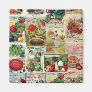 Imán Collage del catálogo de la fruta y de semilla de