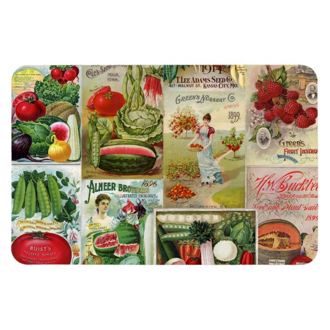 Imán Collage del Catálogo de Semillas de Frutas y Veget (Horizontal)