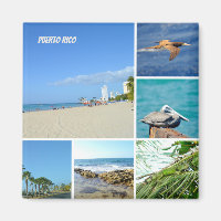 Collage natural de San Juan, Puerto Rico
