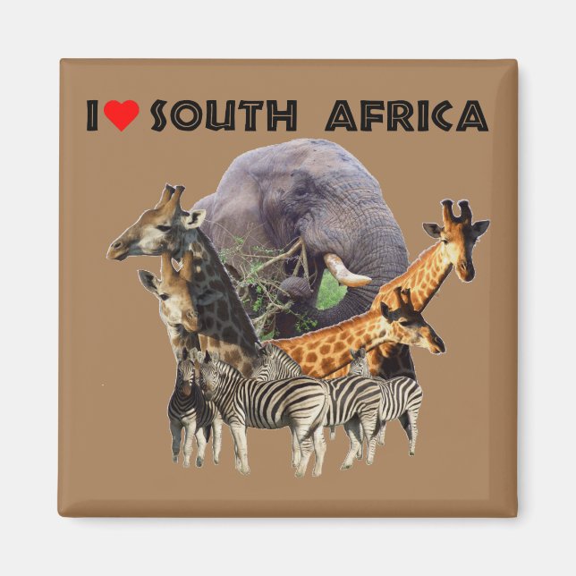 Imán Collage sobre la vida salvaje en Sudáfrica (Frente)