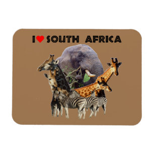 Imán Collage sobre la vida salvaje en Sudáfrica