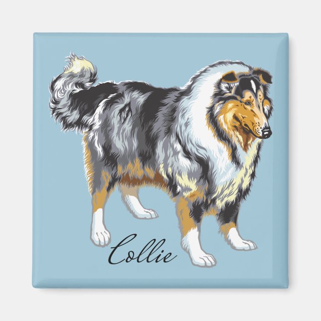 Imán collie (Frente)