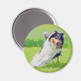 Imán Collie