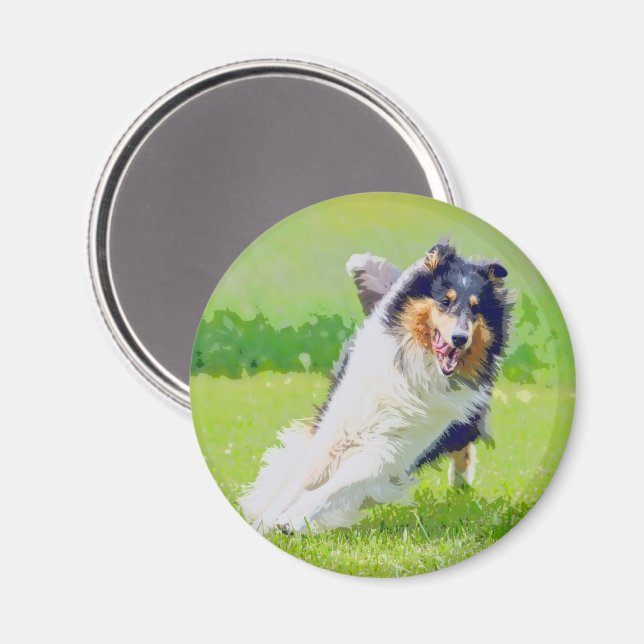 Imán Collie (Anverso/Reverso)