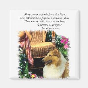 Imán Collie Art Gifts Rough Sable