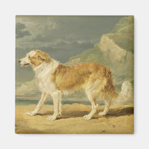 Imán collie Áspero-revestido, 1809 (aceite a bordo)