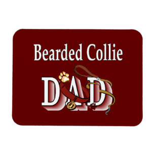 Imán Collie Dad